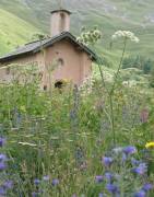 Chapelle St Gras par MF Martin 